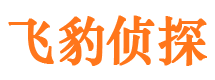 老城外遇调查取证